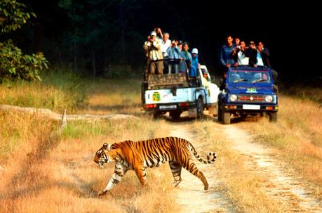 The oldest national park in India – Jim Corbett The oldest national park in India – Jim Corbett