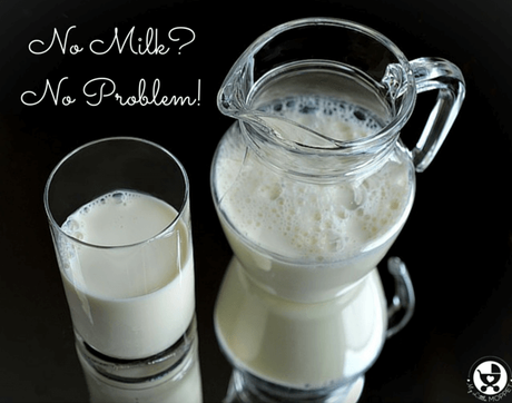 15 Surprising Sources of Calcium other than Milk