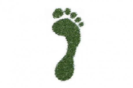 green-footprint