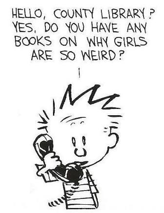 Why Are Girls So Weird? : Calvin And Me - Part 1
