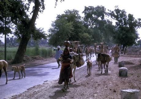 ON THE ROAD IN INDIA:  Village Life, from the Memoir of Carolyn T. Arnold