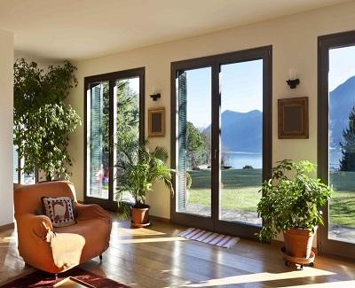 Essential Things that Add Beauty to Interior Home Decoration natural plants