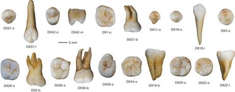Early “failed” migration out of Africa was actually successful Early “failed” migration out of Africa was actually successful