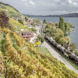 In between lines uno _DSC0519