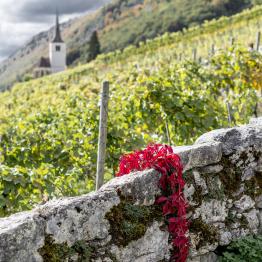 In between lines uno _DSC0543