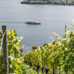 In between lines uno _DSC0547