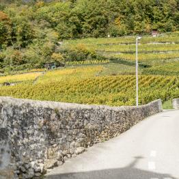 In between lines uno _DSC0475