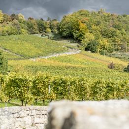 In between lines uno _DSC0478