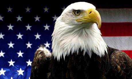 Meet The Bald Eagle – National Emblem of the United States Meet The Bald Eagle – National Emblem of the United States