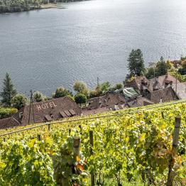 In between lines due _DSC0553