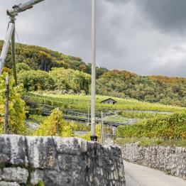 In between lines due _DSC0570