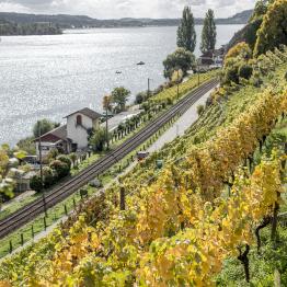 In between lines due _DSC0517