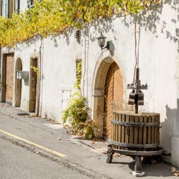 In between lines due _DSC0495