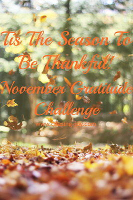 November Gratitude Challenge