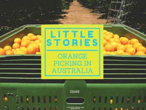 Little Stories1