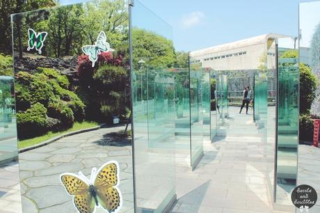 Glass Art Museum, Glass Castle - Jeje, South Korea