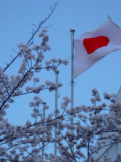 Sakura and Japan flag