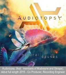 Audiotopsy_large%20copy
