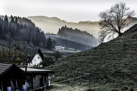 Light beams of Bauma _DSC2094-2