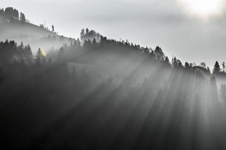 Light beams of Bauma _DSC2042-3