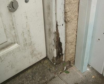 Why People Opt For Timber Doors Repair wooden rot