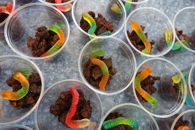 Project: “WORMS AND DIRT” FOR DESSERT