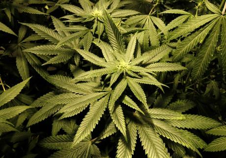 I don’t do drugs, I don’t do weed, I just want hugs, That’s all I need I don’t do drugs, I don’t do weed, I just want hugs, That’s all I need