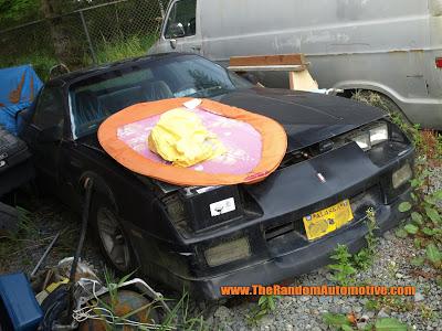 Rotting in Style - 1989 Chevy Camaro!