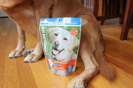 Nutramax Cosequin Joint Health in dogs review