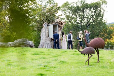Guests look at viola apiary at Bride & groom under willow tree Langar Hall Wedding Photography