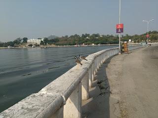 Exploring the City of Lakes - Udaipur