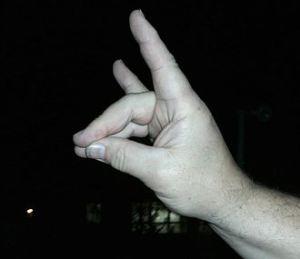 Obama makes devil’s horns hand-sign in Turkey Grey Wolves hand sign
