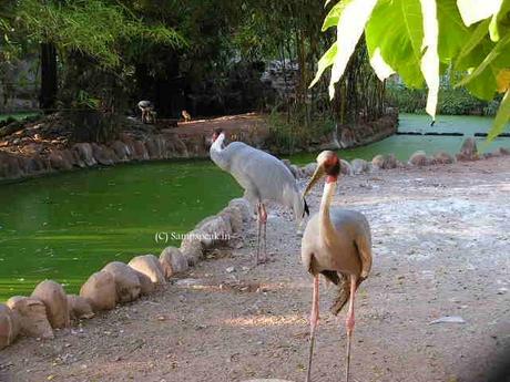 the gesture of Zoo keeper - VOC Park & Zoo at Coimbatore