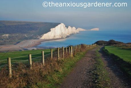 Seven Sisters (5)