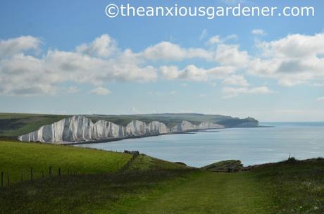 Seven Sisters (1)