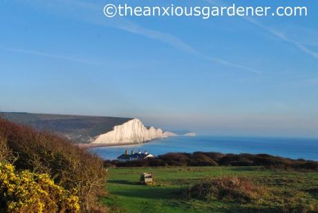 Seven Sisters (7)