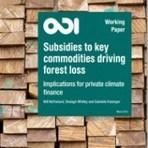 Subsidies for Deforestation-driving Commodities Dwarf Conservation Finance New Report – Ecosystem Marketplace