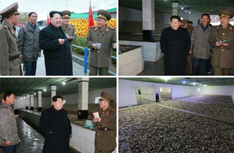 Kim Jong Un tours Fishery Station #15 (Photo: Rodong  Sinmun).