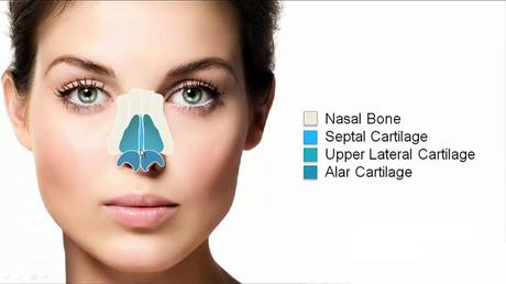 Nose Surgery/ Rhinoplasty