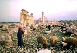 Overgrazing is a major cause of the horror in Syria