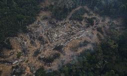 Amazon deforestation report is major setback for Brazil ahead of climate talks