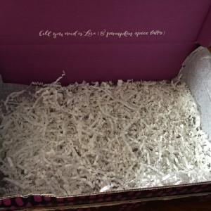 The Ultimate Goodie Bag / Surprise Box for Women #purplepurse #fabfitfun The Ultimate Goodie Bag / Surprise Box for Women #purplepurse #fabfitfun
