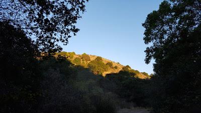 LEONA CANYON: a Pleasant Walk in the Hills of Oakland, CA