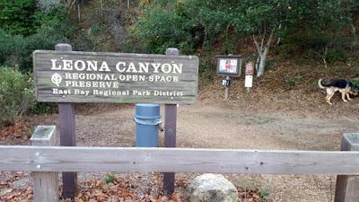 LEONA CANYON: a Pleasant Walk in the Hills of Oakland, CA