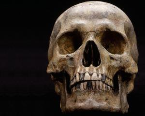 The Perils Of Lust skull