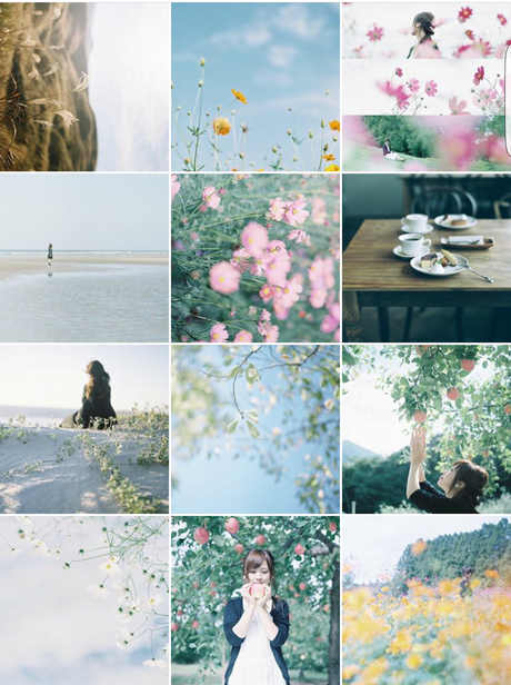 5 Favourite Instagram Accounts 5 Favourite Instagram Accounts