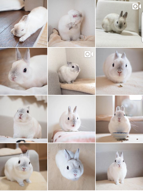 5 Favourite Instagram Accounts 5 Favourite Instagram Accounts