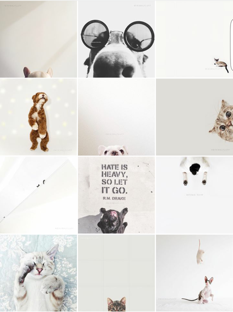 5 Favourite Instagram Accounts 5 Favourite Instagram Accounts