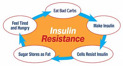 Why Insulin Resistance Is GOOD