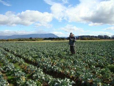 Sunday’s Inspiration: Mrs. Thompson, Kilmaine Primary School and My Sentimental World Working on a lonely farm in Poatina in 2010
